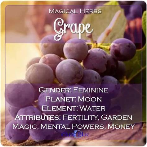 Grape witchcraft sorcery